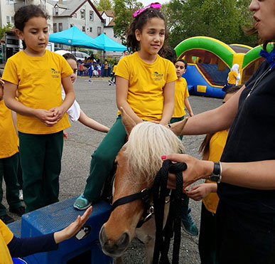 Students taking turns riding a pony