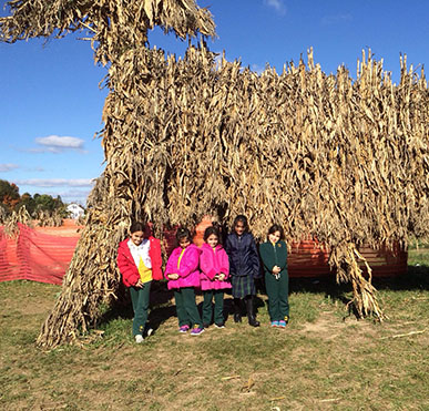 Kids at corn maze